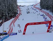 Jasna would like to organize the World Cup every three years