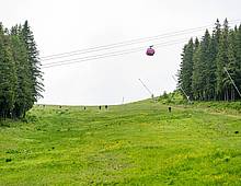 Skiing on the World Cup slopes 